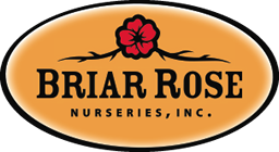 Briar Rose Nurseries